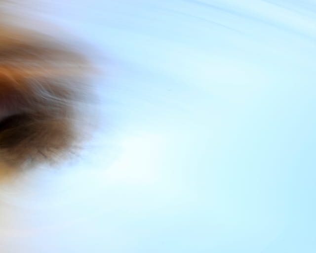 blue sky and whispy hair photo